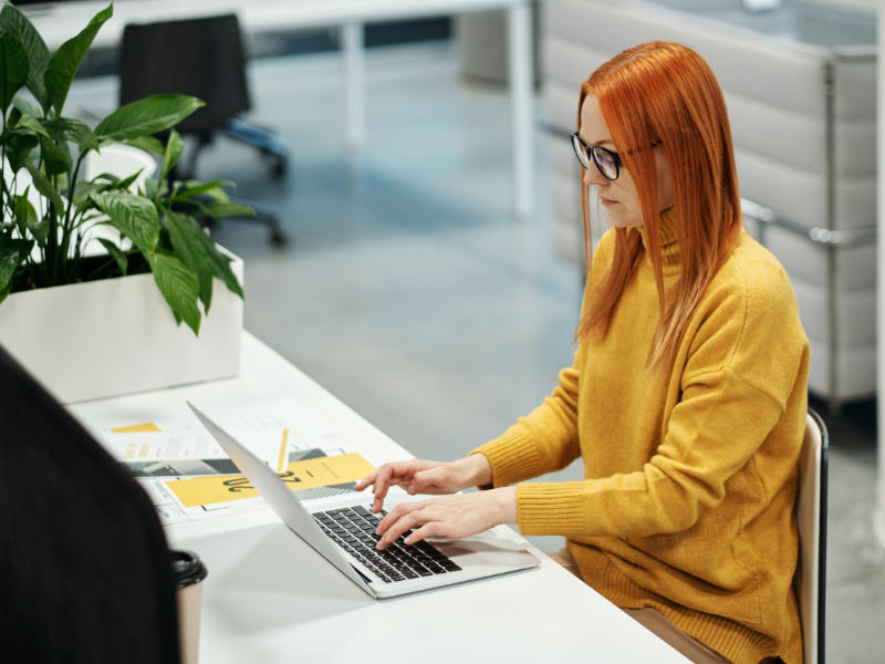 benefits-of-employing-wp-developer-for-business benefits-of-employing wp developer for business